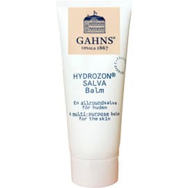 Gahns Hydrozonsalva Hudsalva 100 gram
