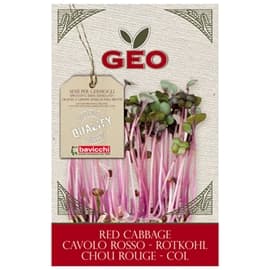 GEO Rödkålsfrö EKO 12 gram