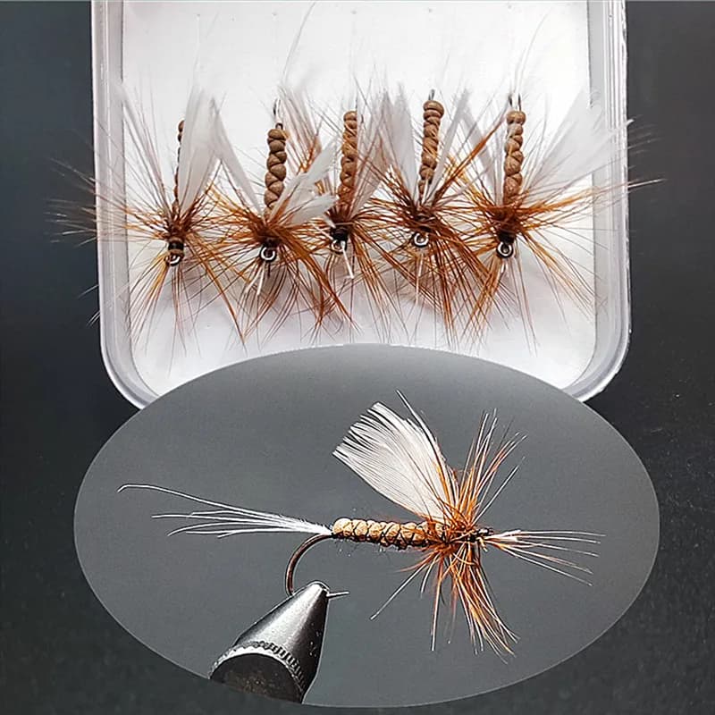 5pcs/box Mayfly Dry Fly - Grizzly Saddle Realistic Mayfly Wing Foam Flies Hook For Trout Bass &Salmon Fly Fishing - Fly Fishing