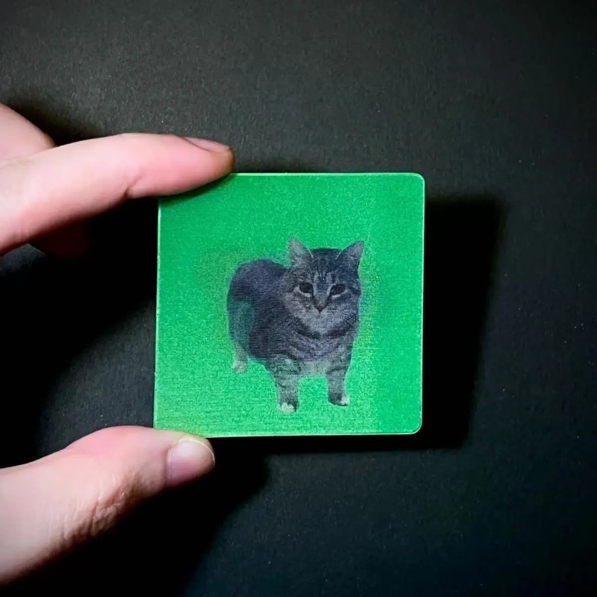 Oiiai Cat Dynamic Card with Keychain Oiiai Cat Grating Card
