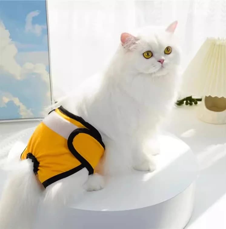 Reusable Sanitary Panties Washable Small Dog Pet Diapers Female Dogs Large Physiological Pants Shorts Male Cats Pet Menstruation