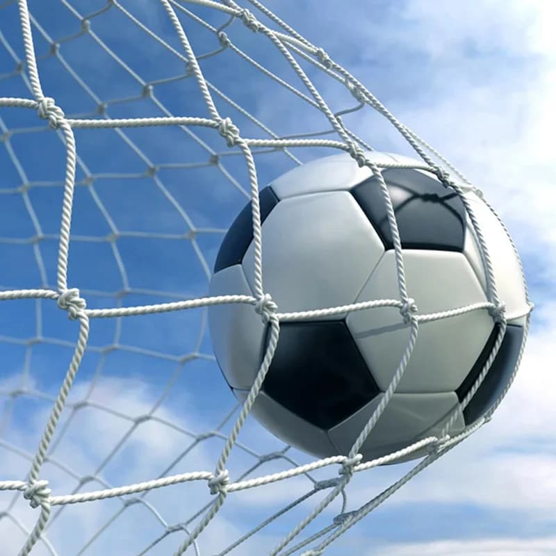Soccer Goal Net Football Training Net Anti-impact Football Post Net Foldable Portable Soccer Net for Club School Football Match