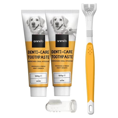 Tandhygienkit för hund