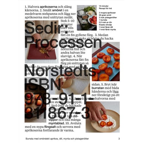 Sedir: Processen (inbunden)