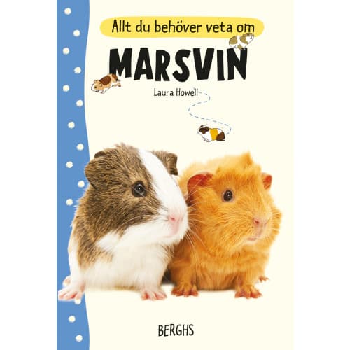 Allt du behöver veta om marsvin (inbunden)