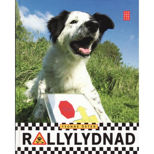 Rallylydnad (inbunden)