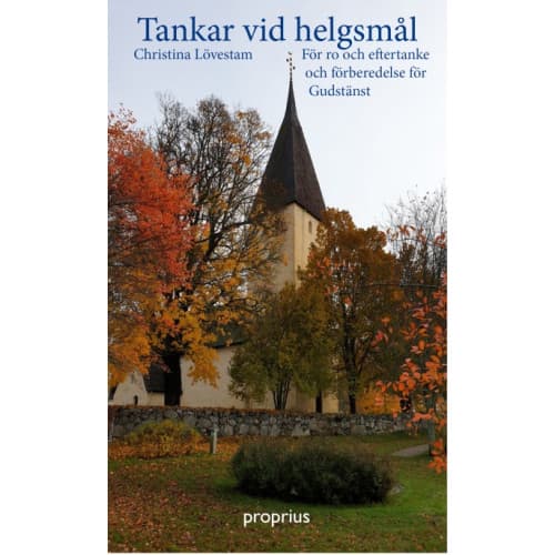Tankar vid helgsmål (häftad)