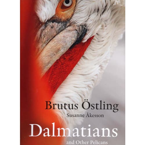 Dalmatians and other pelicans (inbunden, eng)