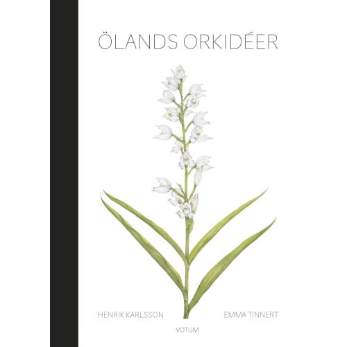 Ölands orkidéer (bok, halvklotband)