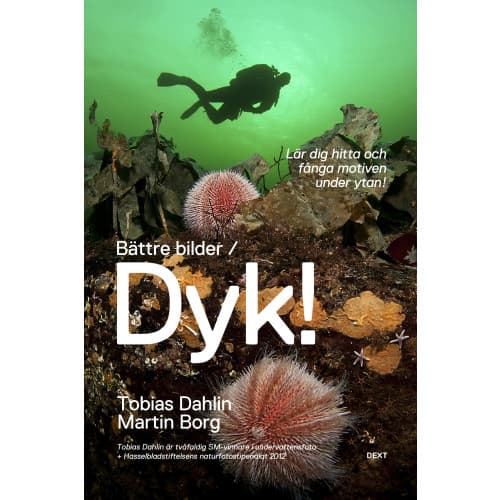 Bättre bilder / Dyk! : lär dig hitta och fånga motiven under ytan (häftad)