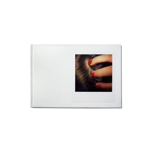 Polaroid SX-70 Bengt-Arne Falk (inbunden)