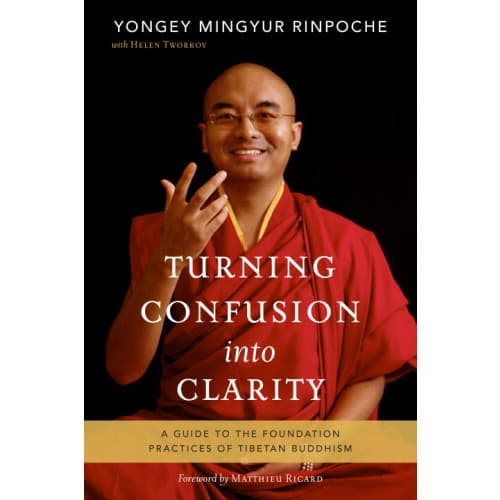 Turning confusion into clarity (häftad, eng)