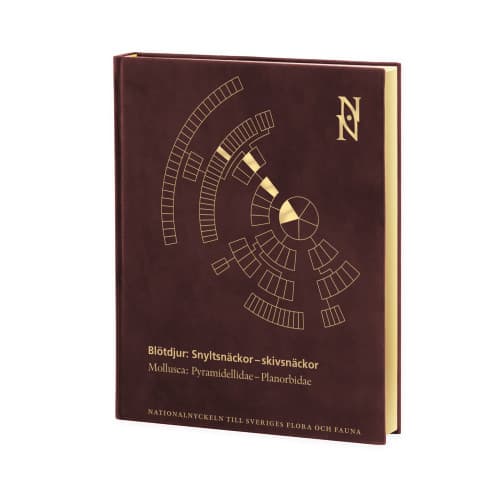 Blötdjur: Snyltsnäckor–skivsnäckor. Mollusca: Pyramidellidae–Planorbidae (bok, halvfranskt)