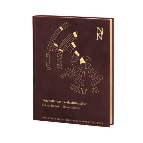 Tagghudingar - svalgsträngsdjur. Echinodermata - hemichordata (bok, halvfranskt)