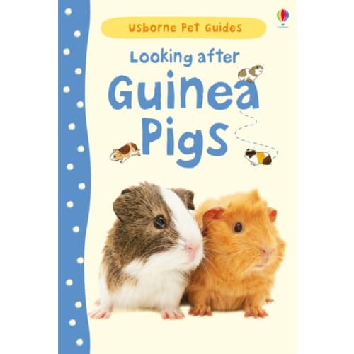 Looking after Guinea Pigs (inbunden, eng)