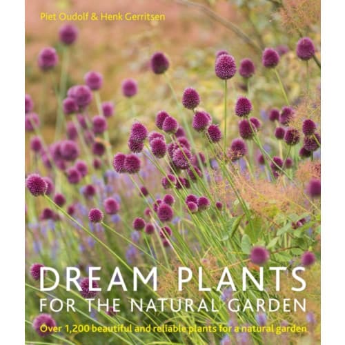 Dream Plants for the Natural Garden (häftad, eng)