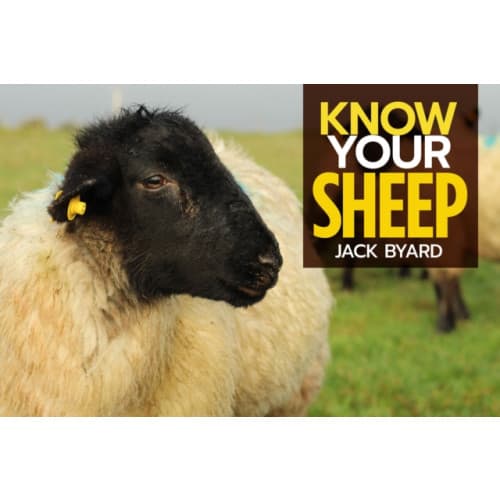 Know Your Sheep (häftad, eng)