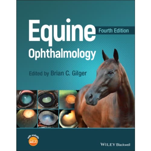 Equine Ophthalmology (inbunden, eng)