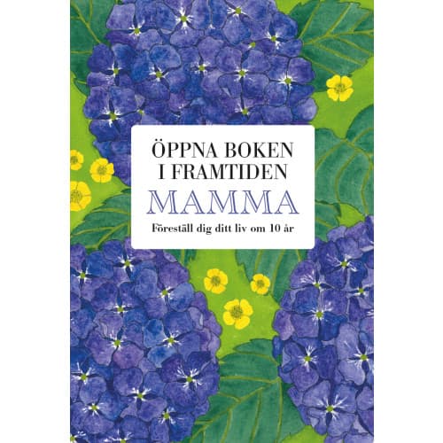 Mamma : öppna boken i framtiden (bok, kartonnage)
