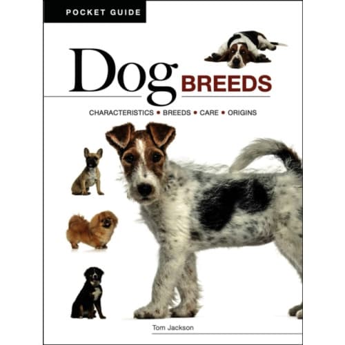 Dog Breeds (häftad, eng)