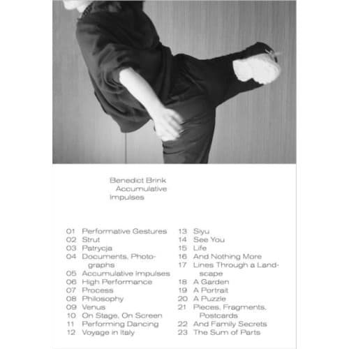 N° 3 : Accumulative Impulses (häftad, eng)