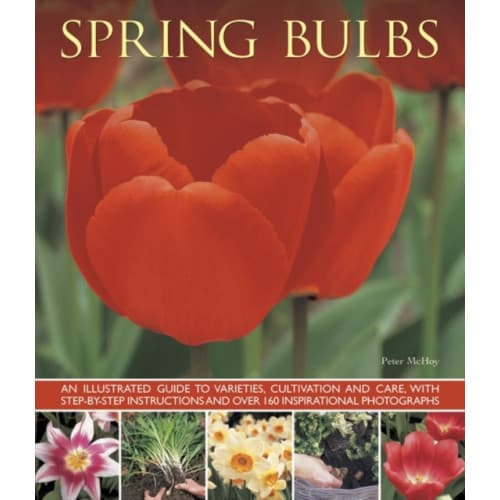Spring Bulbs (häftad, eng)