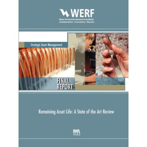 Remaining Asset Life (häftad, eng)