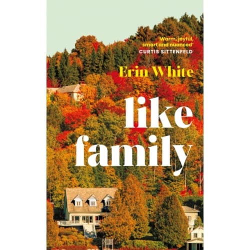 Like Family (häftad, eng)