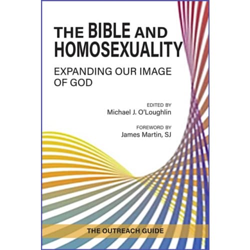 The Bible and Homosexuality (häftad, eng)