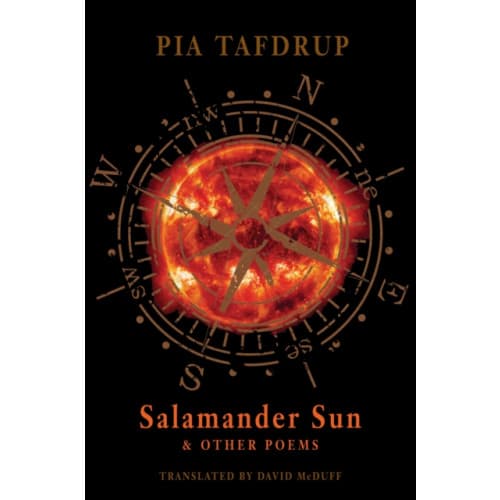 Salamander Sun and Other Poems (häftad, eng)
