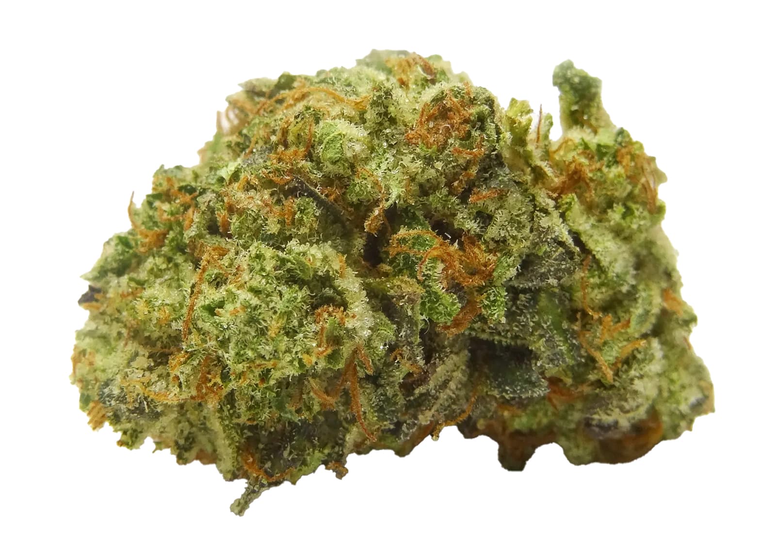 Hindu Kush - 20 Gram