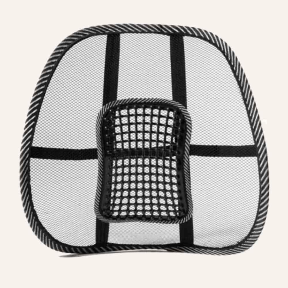 Swedish Posture Ergonomiskt Svankstöd