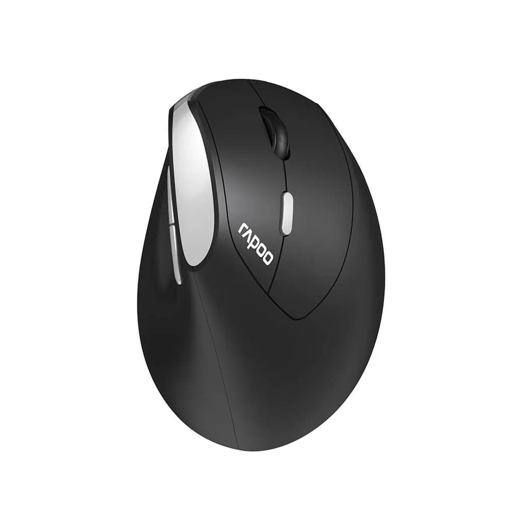 RAPOO Ergonomisk Mus EV250 2.4 GHz Trådlös Svart