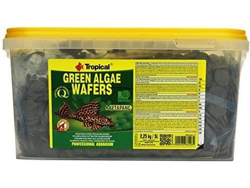 Tropical GREEN ALGAE WAFERS hink 5 l
