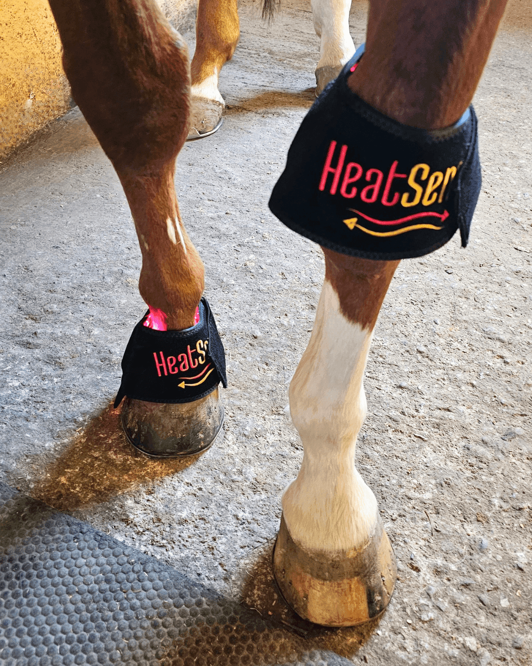 Rödljusterapiklockor för häst 2.0 – Heat Sense Horse