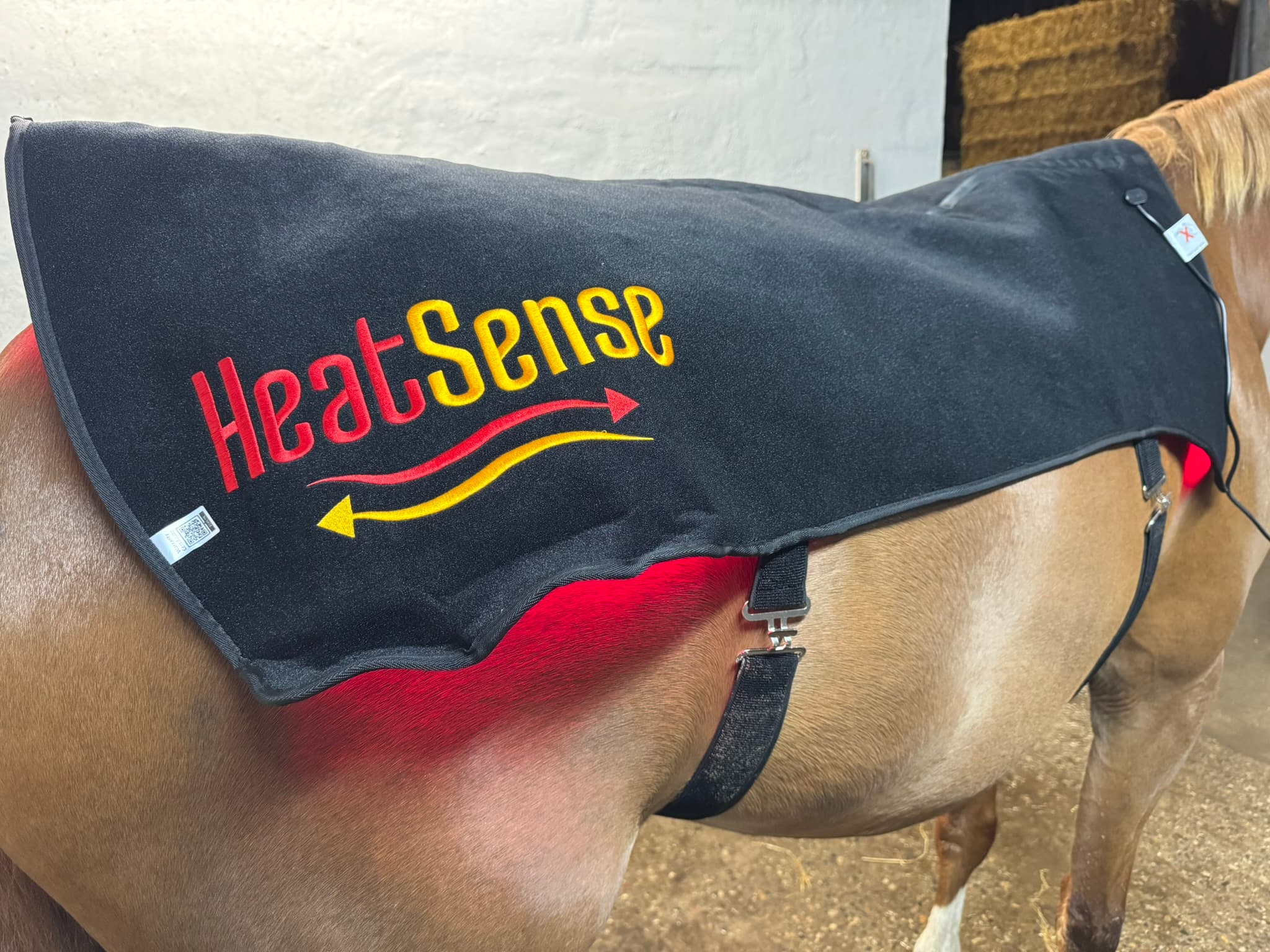 Infraröd terapitäcke för häst 2.0  Heat Sense Horse