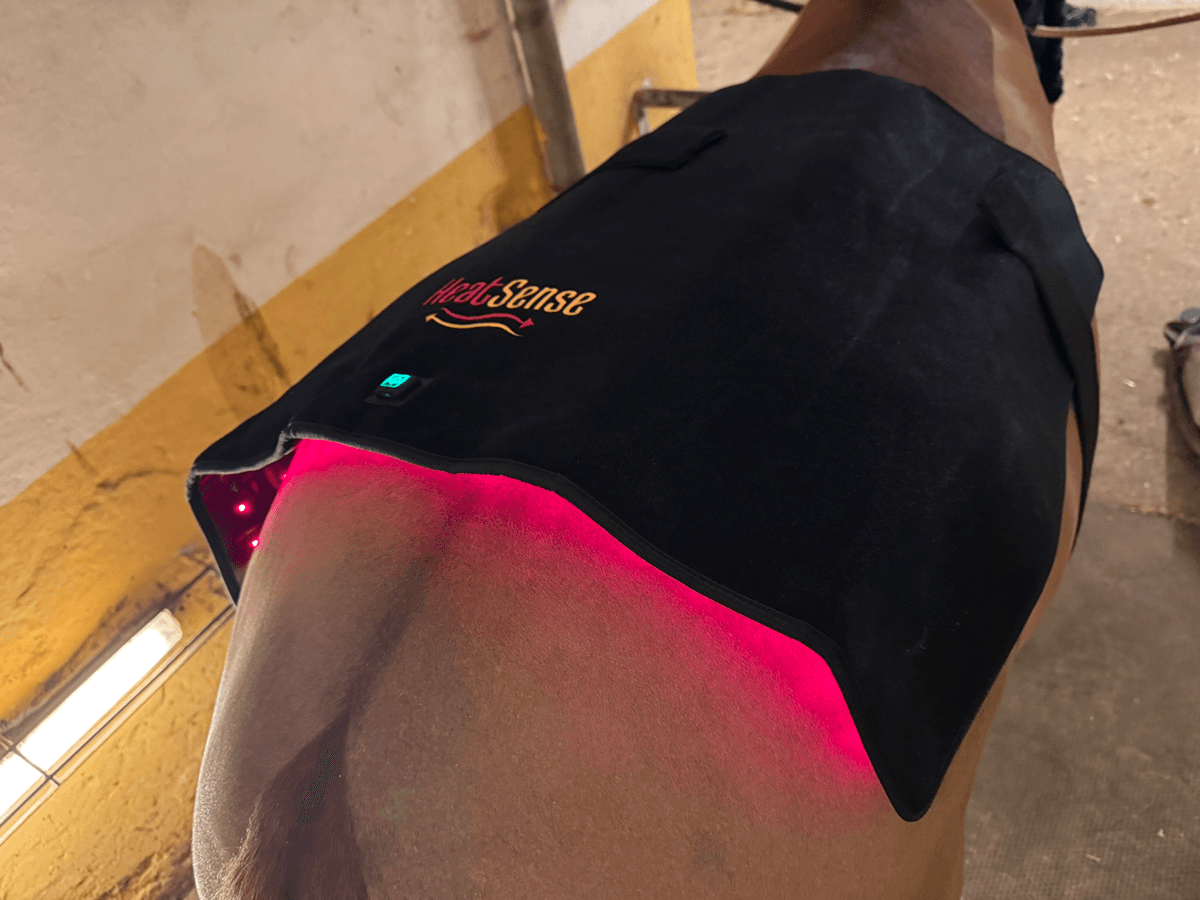 Stor röd ljusterapi pad 2.0 för häst – Heat Sense Horse