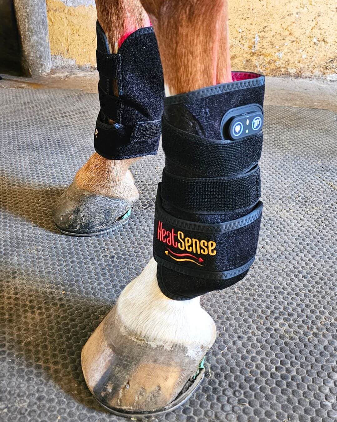 Röd ljusterapi gamacher för häst – Heat Sense Horse