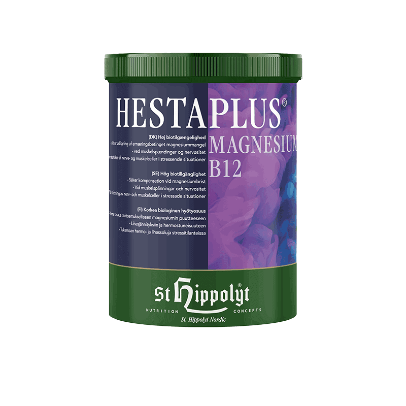 Hesta Plus Magnesium B12, 1 kg