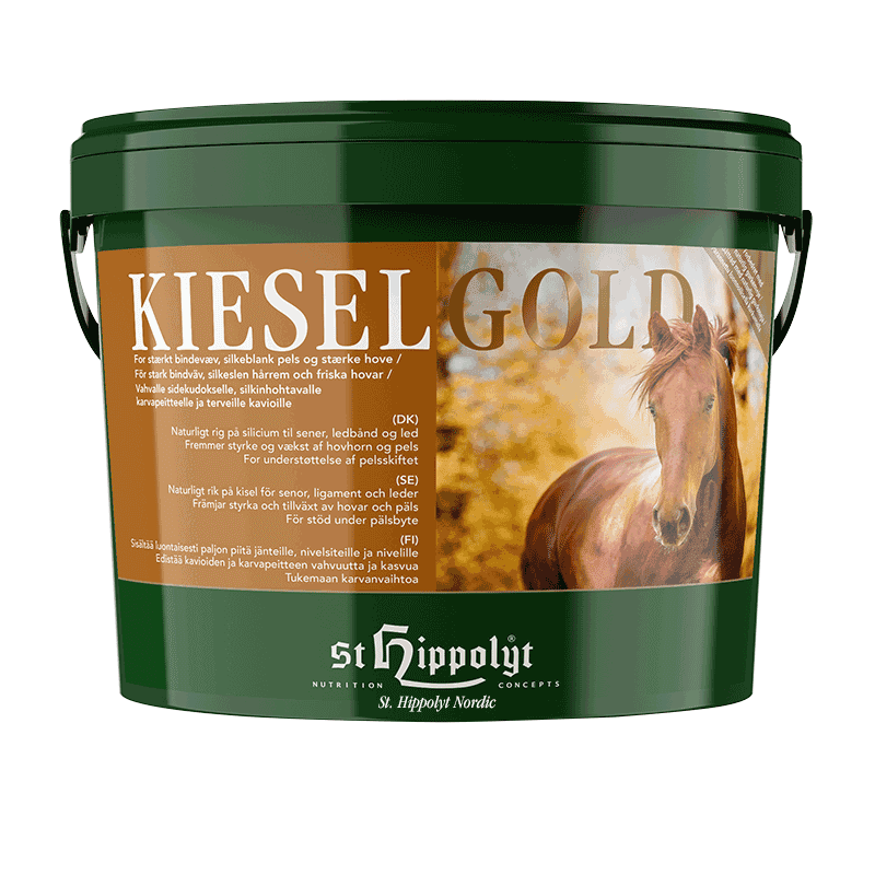 Kieselgold 4 kg