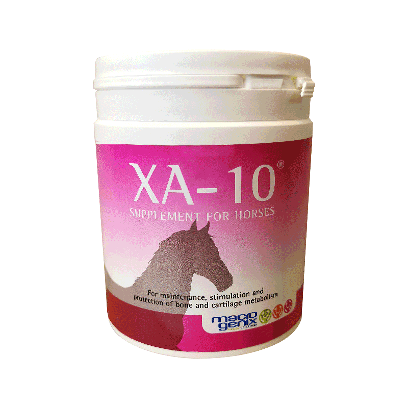 XA-10, 600 g