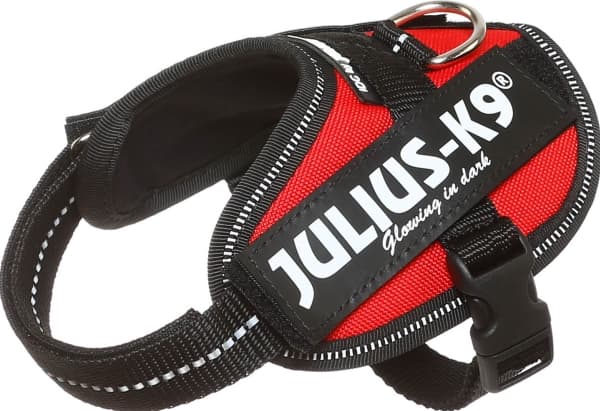 Julius-K9 K9 IDC-sele, storlek: Baby 2, röd 33-45 cm