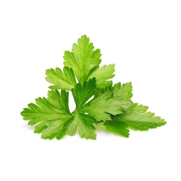 Click & Grow - Smart Garden Refill 3-pack - Koriander/Cilantro (SGR45X3)