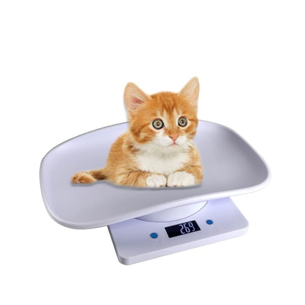 Digital Husdjursvåg - 15 kg Kapacitet med LCD-skärm, Exakt Vägning för Små Djur, Kompatibel med veterinärskliniker