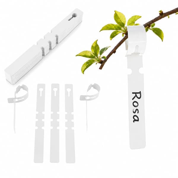 Växtetiketter 100-pack White
