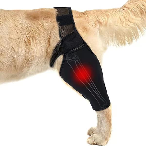 Benstöd för Hund – Andningsbart Knästöd för Frakturåterställning XL