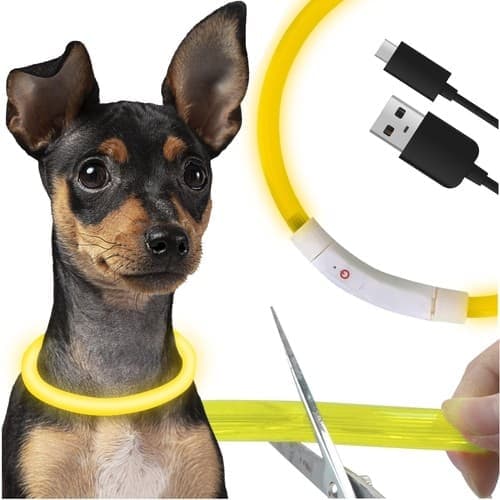 LED Hund / Katt Halsband - Uppladdningsbar