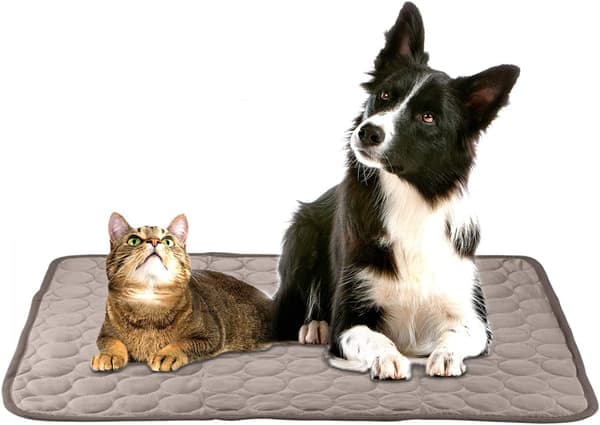 Kylmatta för Hund, Självkylande Gelkudde Katt Kylmatta Inomhus Utomhus Katt Kalla Matta på Sommaren Varm Blå L(100*70cm)