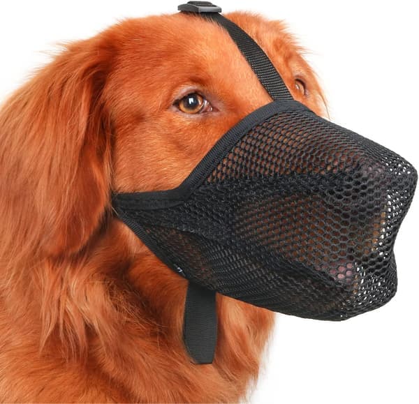 Hundmunkorg, Patenterad Mjuk Mesh-munkorg för Små, Mellanstora och Stora Hundar för att Förhindra Ätande, Bitande, Slickande och Tuggande
