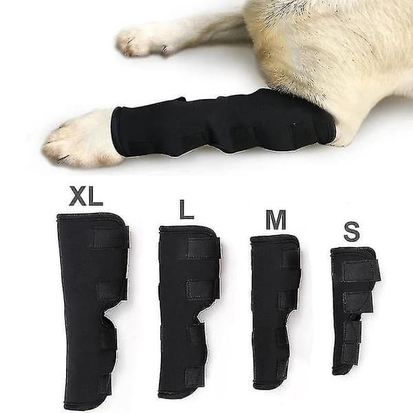 2 par hund framben handledsskydd, benstöd knäskydd karpaltunnelsyndrom stöd salva stöd armbågsskydd Warp-YGWL